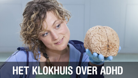 Het Klokhuis | ADHD